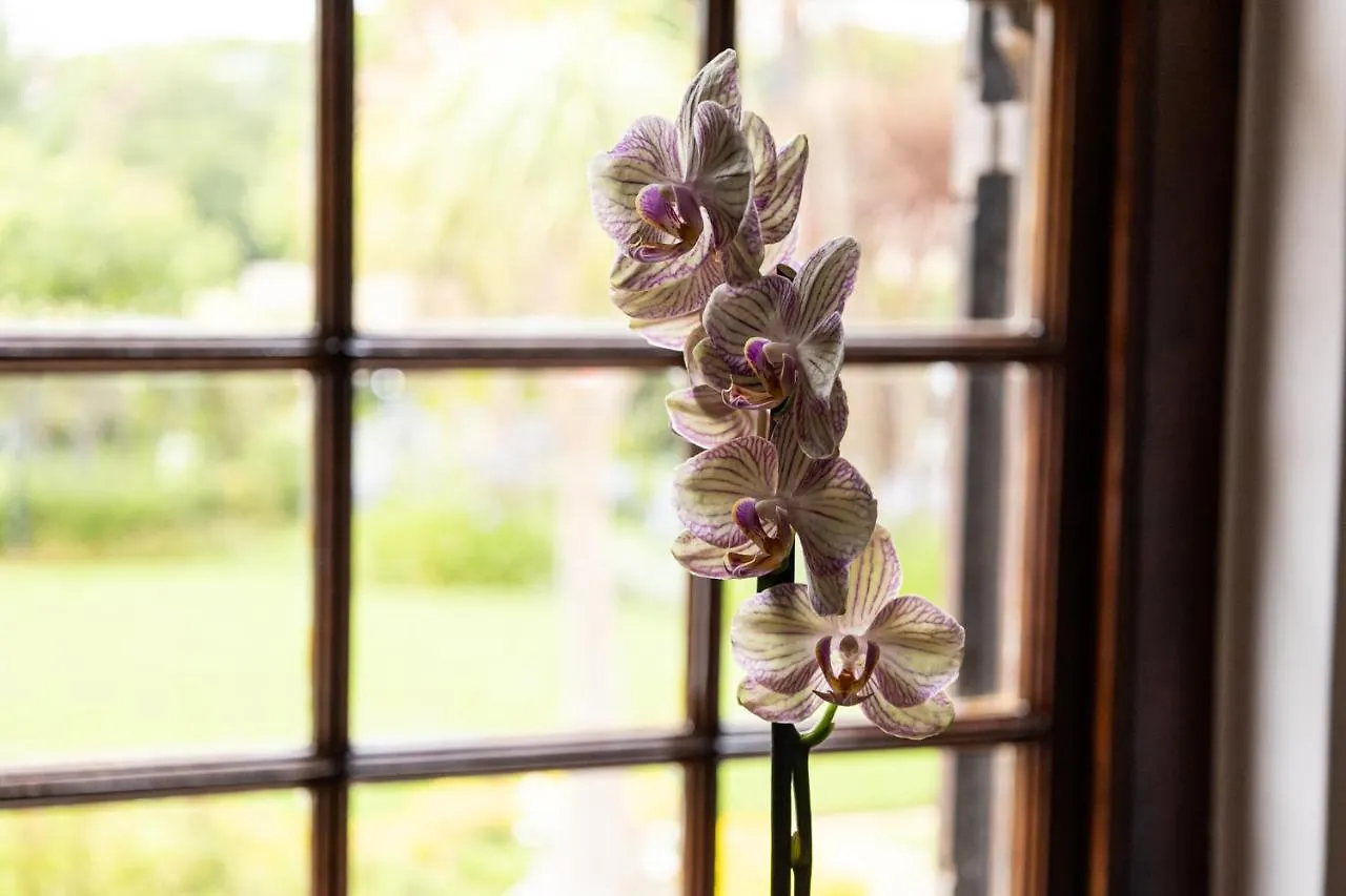Bed & Breakfast Cape Village Lodge Durbanville
