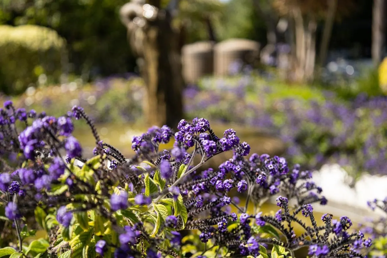 Bed & Breakfast Cape Village Lodge Durbanville